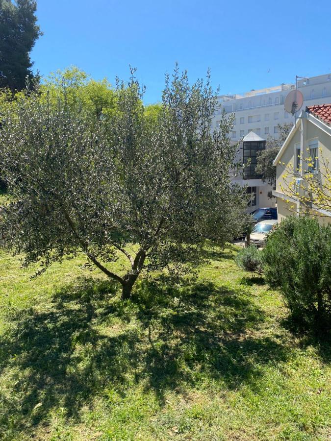 Centar Apartman *