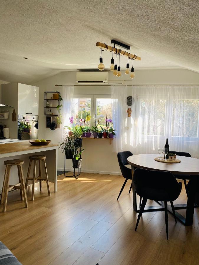 Apartment Centar *
